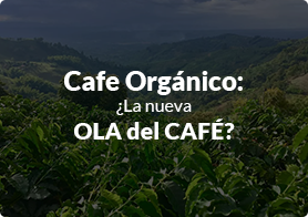 cafe organico